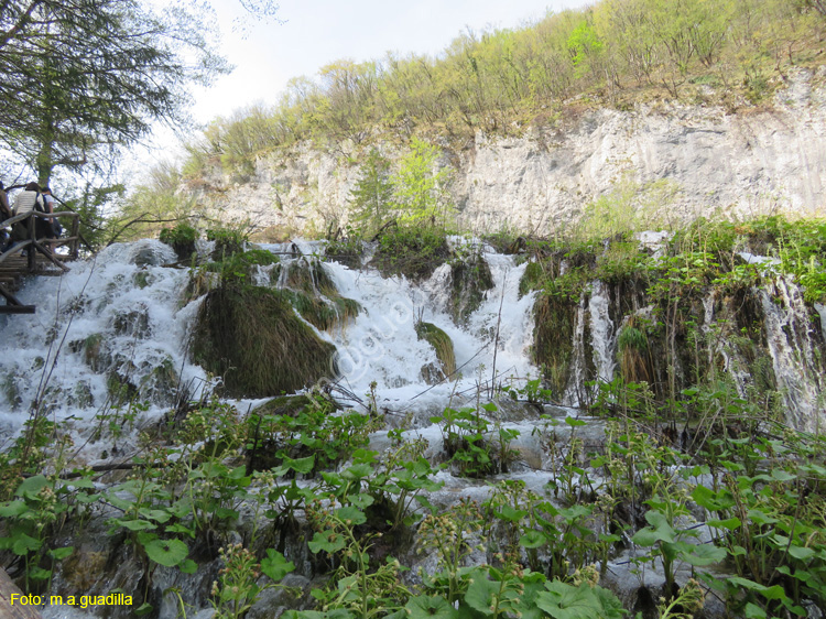 Parque de Plitvice (139)