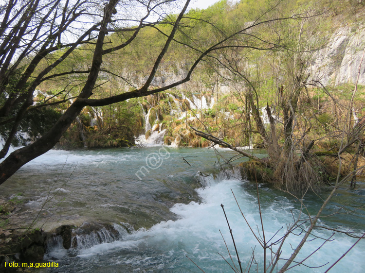 Parque de Plitvice (146)