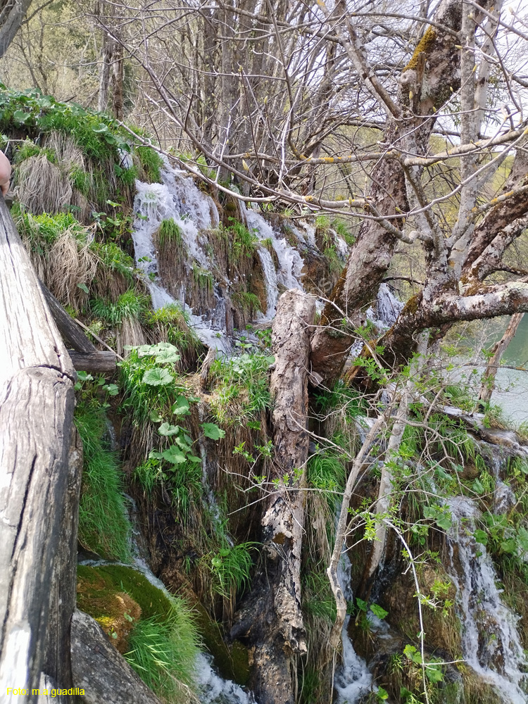 Parque de Plitvice (174)