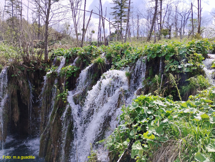 Parque de Plitvice (175)