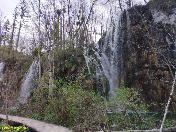 Parque de Plitvice (196)