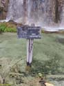 Parque de Plitvice (195)