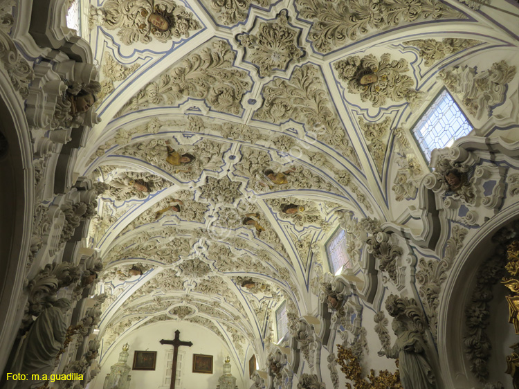PRIEGO DE CORDOBA (201) Iglesia Virgen de la Aurora y San Nicasio