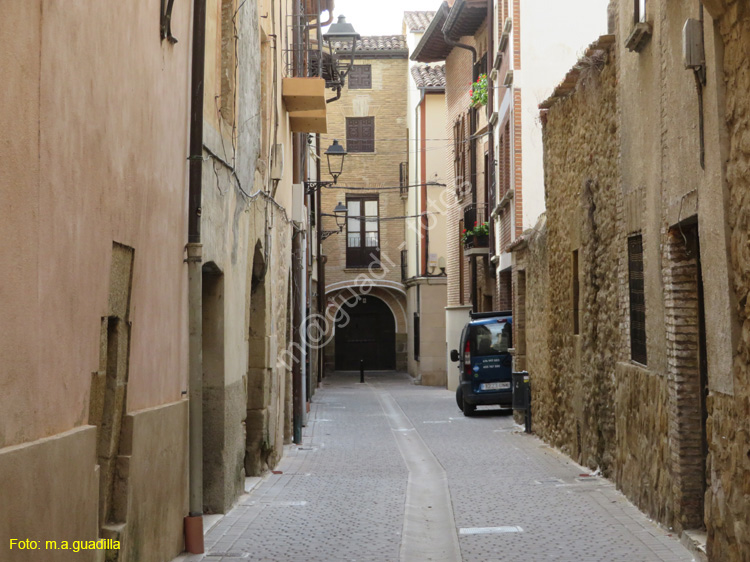 PUENTE LA REINA (155)