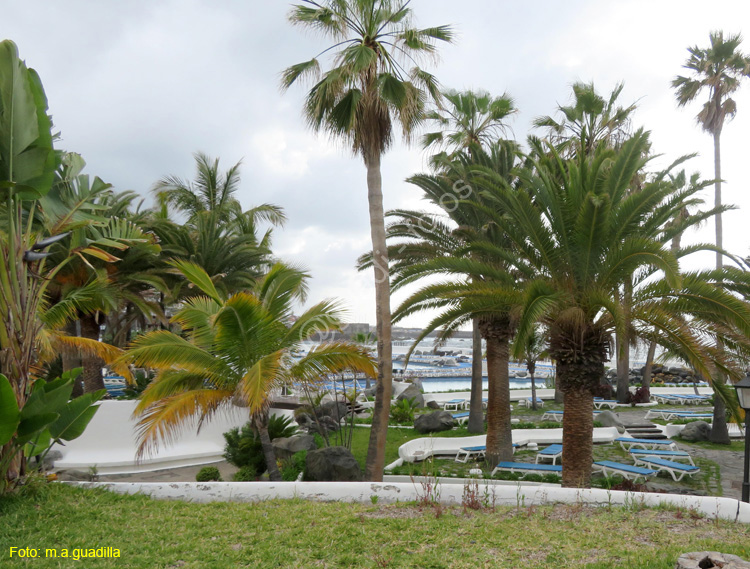 PUERTO DE LA CRUZ (109) Lago Martianez