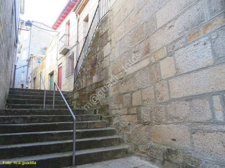 RIBADAVIA (110)