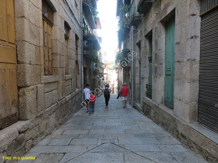 RIBADAVIA (114)
