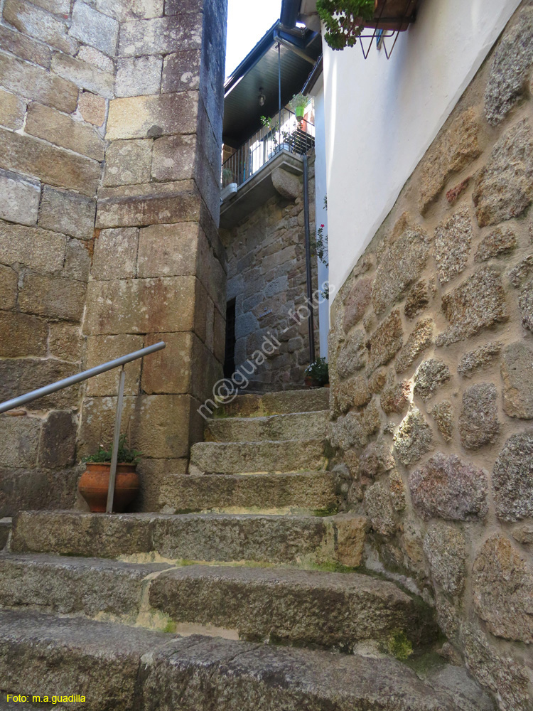 RIBADAVIA (127)