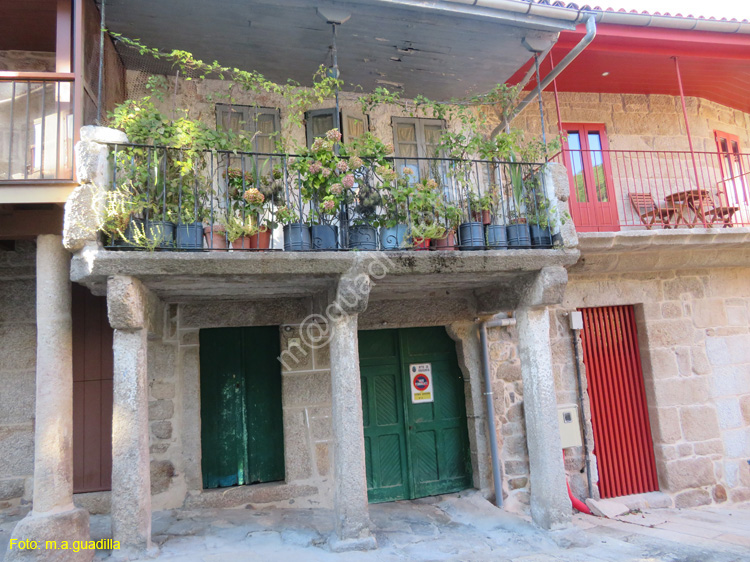 RIBADAVIA (130)