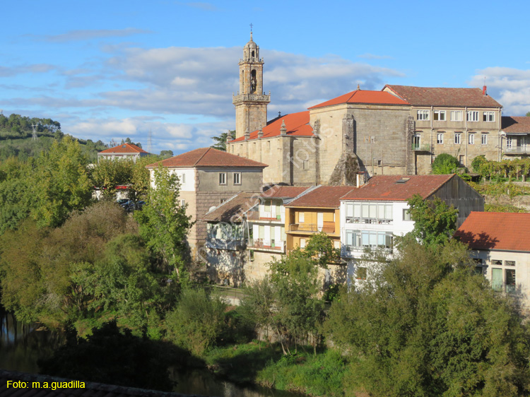 RIBADAVIA (133)