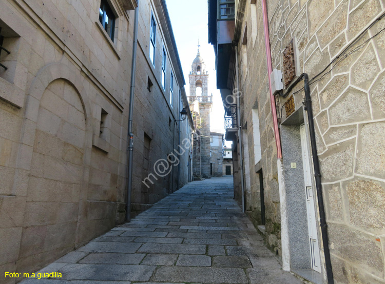 RIBADAVIA (134)
