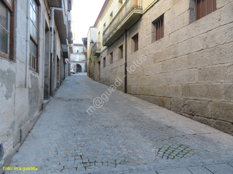 RIBADAVIA (139)