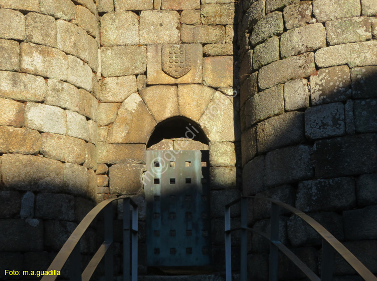 RIBADAVIA (168) Castillo
