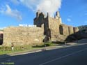 RIBADAVIA (166) Castillo