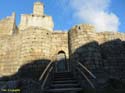 RIBADAVIA (167) Castillo