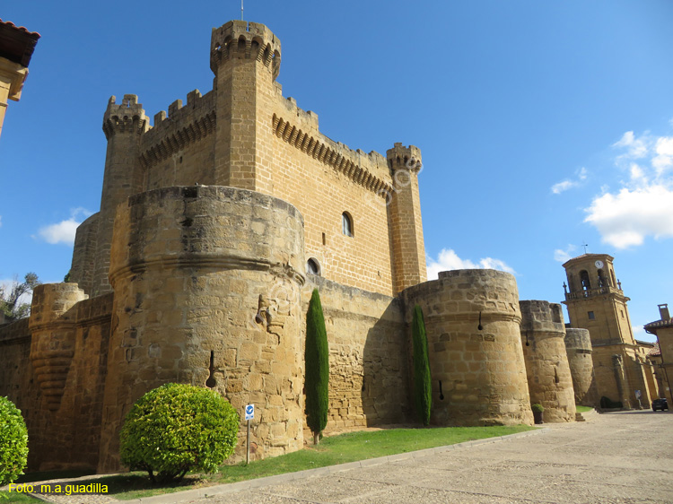 SAJAZARRA (102) Castillo