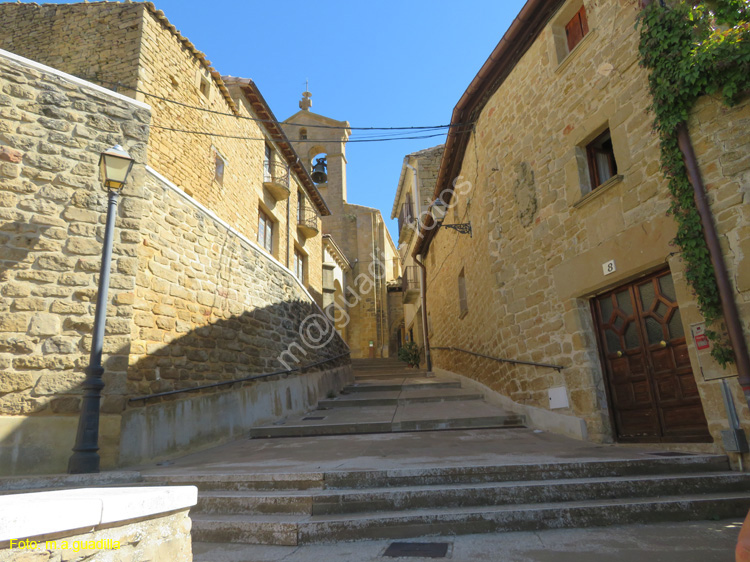 SAN MARTIN DE UNX (108) Iglesia de San Martin de Tours