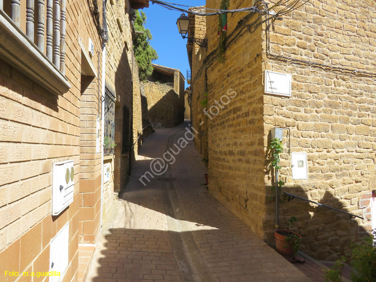 SAN MARTIN DE UNX (147)