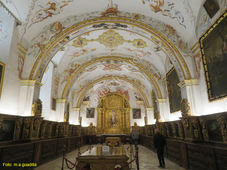 SAN MILLAN DE LA COGOLLA (133) Monasterio de Yuso