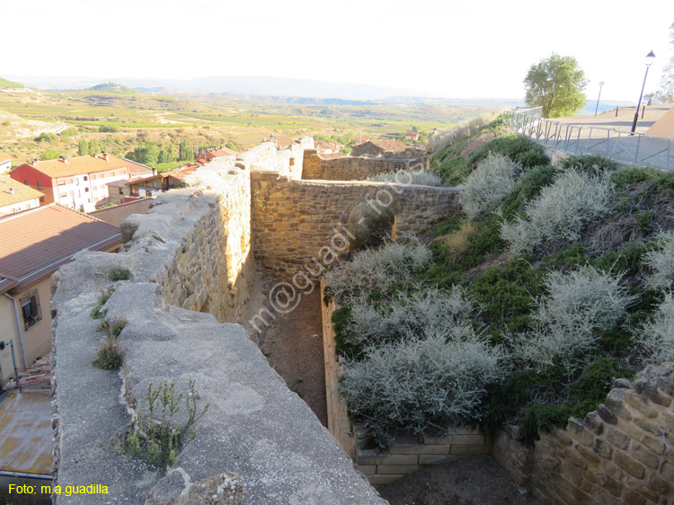 SAN VICENTE DE LA SONSIERRA (117) Castillo