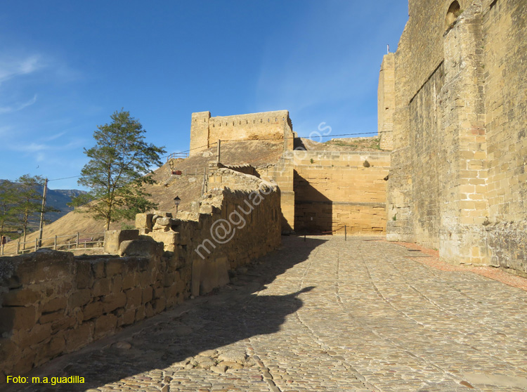 SAN VICENTE DE LA SONSIERRA (118) Castillo