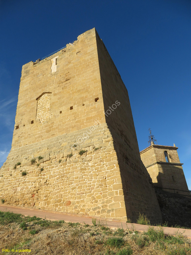 SAN VICENTE DE LA SONSIERRA (122) Castillo