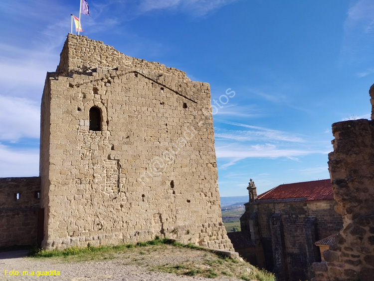 SAN VICENTE DE LA SONSIERRA (125) Castillo