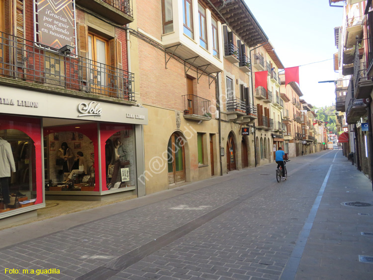 SANGUESA (137) Calle Mayor