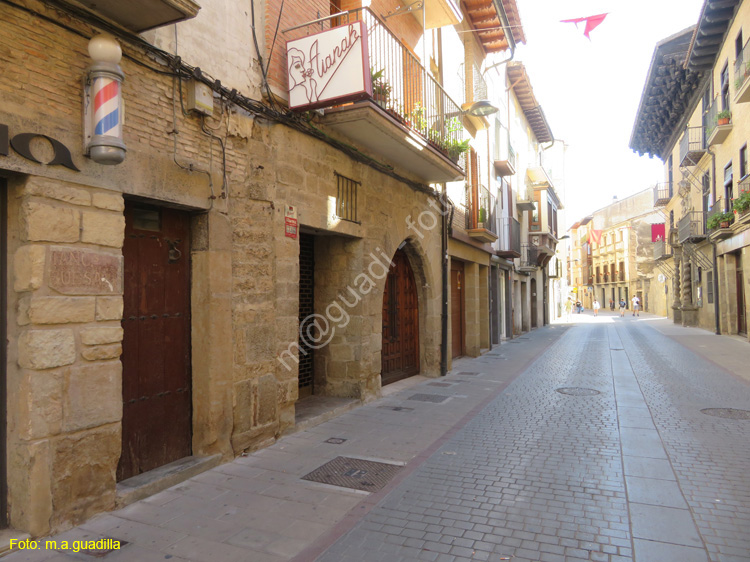 SANGUESA (174)