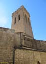 SANGUESA (106) Iglesia de Santiago el Mayor