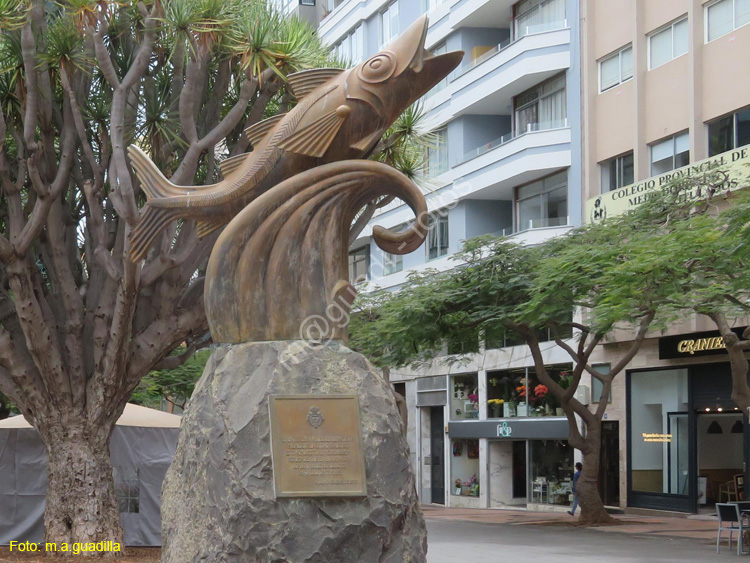 SC de TENERIFE (116) Plaza del Chicharro