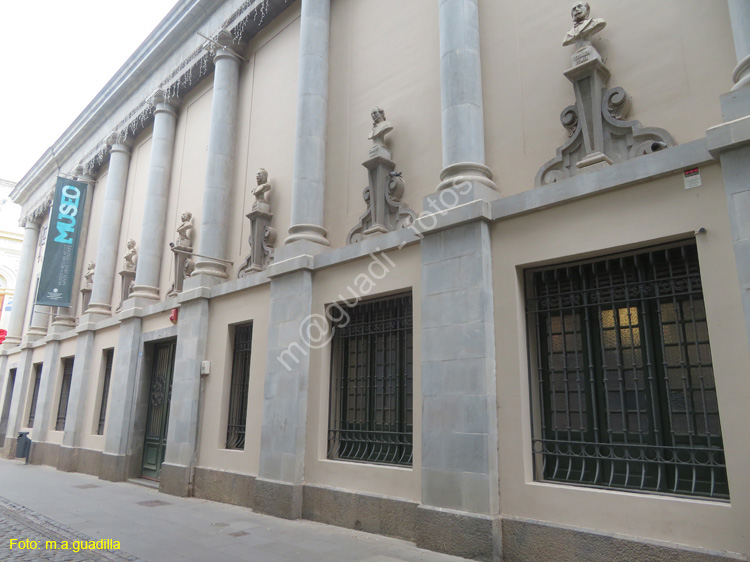 SC de TENERIFE (123) Museo de Bellas Artes