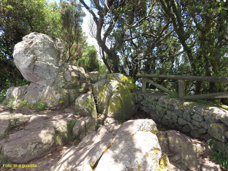 SC de TENERIFE (308) Anaga