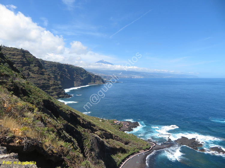 SC de TENERIFE (338) TACORONTE Mesa del Mar