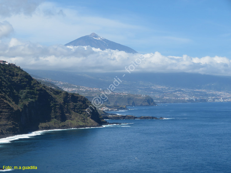 SC de TENERIFE (339) TACORONTE Mesa del Mar