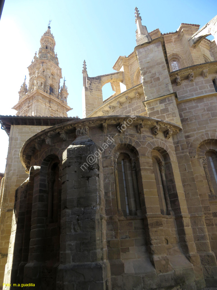 SANTO DOMINGO DE LA CALZADA (153) Catedral
