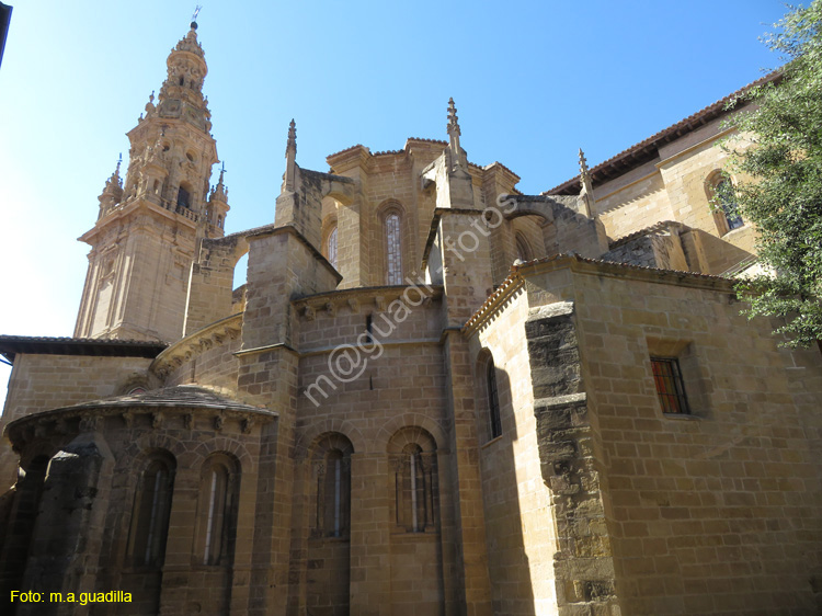 SANTO DOMINGO DE LA CALZADA (154) Catedral