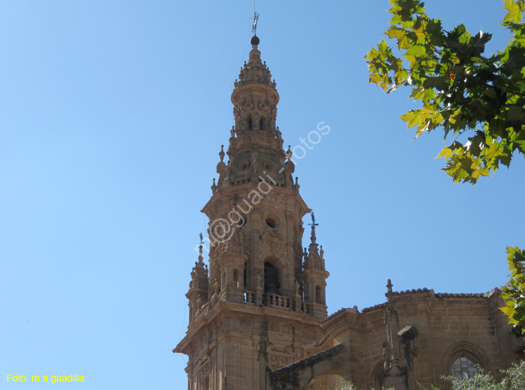 SANTO DOMINGO DE LA CALZADA (155) Catedral