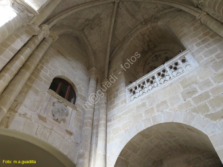 SANTO DOMINGO DE LA CALZADA (163) Catedral