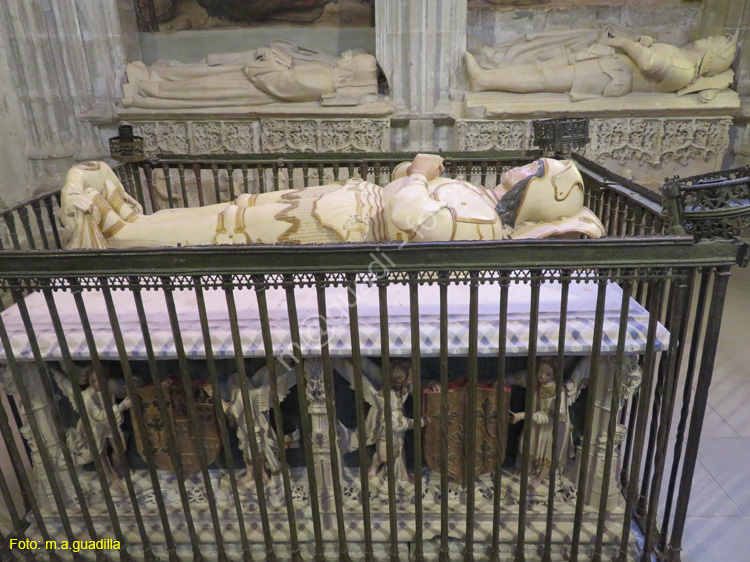 SANTO DOMINGO DE LA CALZADA (175) Catedral