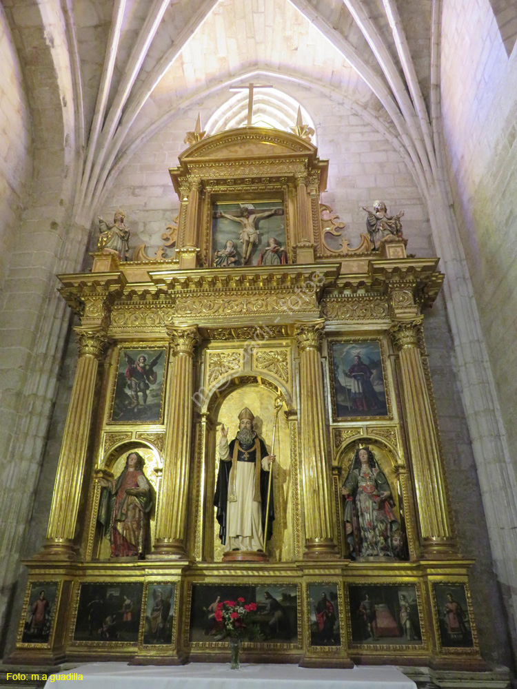 SANTO DOMINGO DE LA CALZADA (177) Catedral