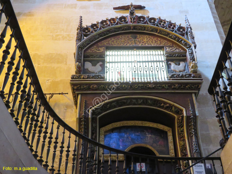 SANTO DOMINGO DE LA CALZADA (185) Catedral