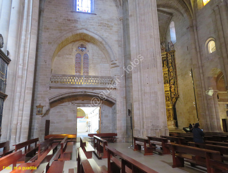 SANTO DOMINGO DE LA CALZADA (186) Catedral