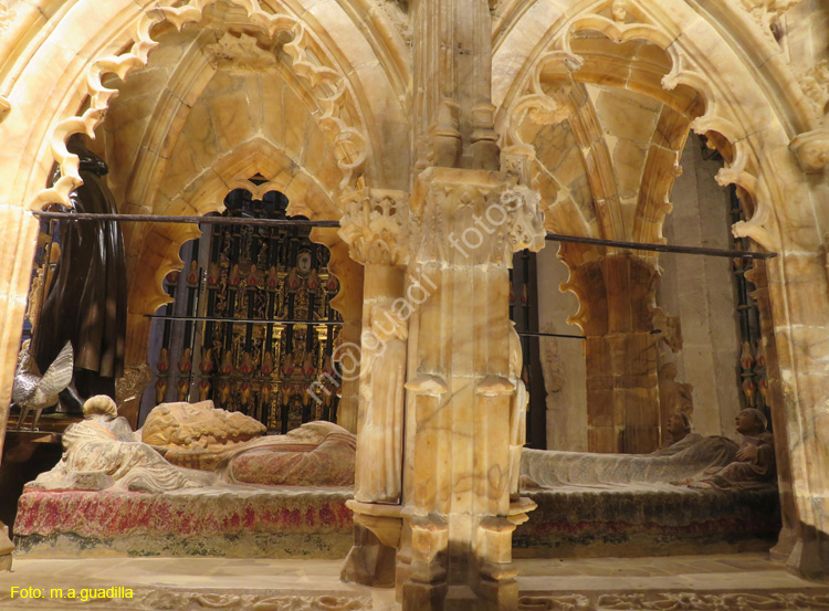 SANTO DOMINGO DE LA CALZADA (194) Catedral