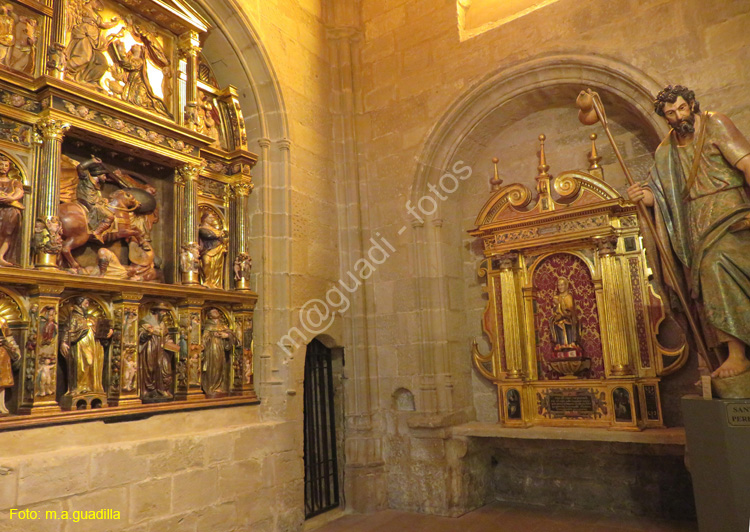 SANTO DOMINGO DE LA CALZADA (198) Catedral