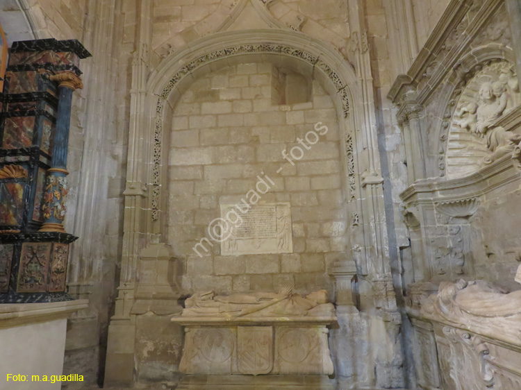SANTO DOMINGO DE LA CALZADA (199) Catedral