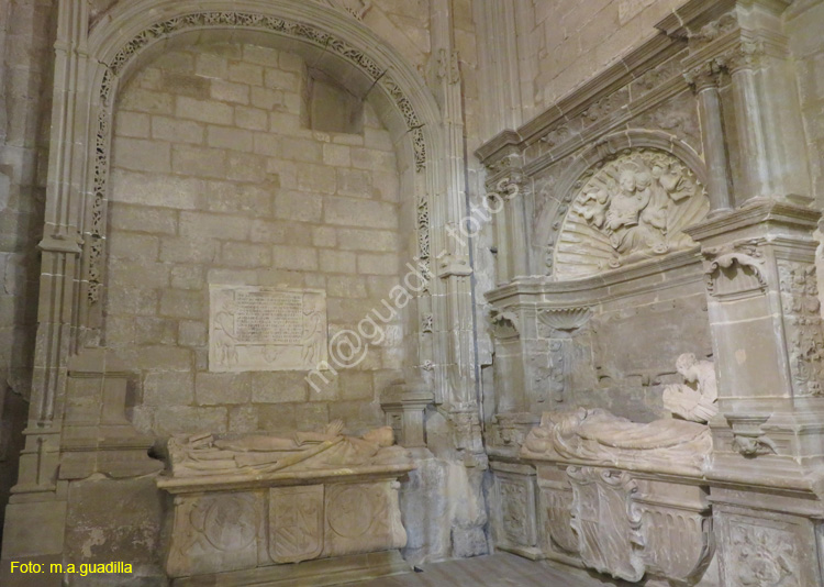 SANTO DOMINGO DE LA CALZADA (201) Catedral