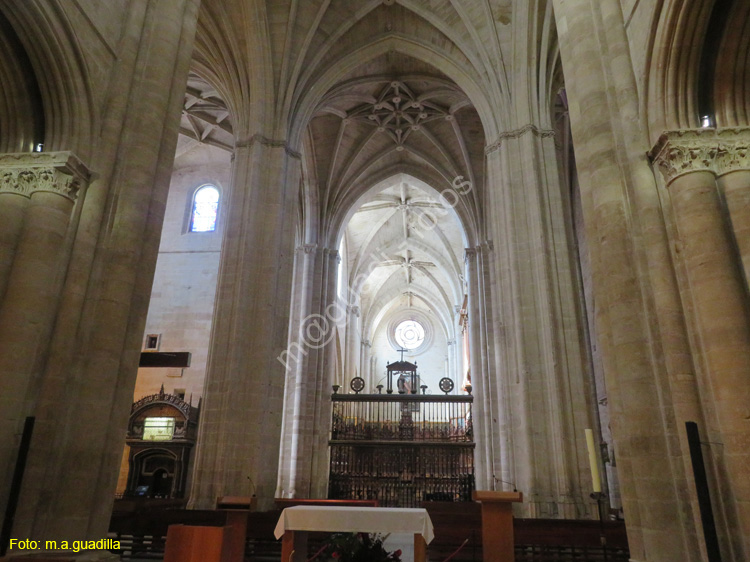 SANTO DOMINGO DE LA CALZADA (204) Catedral