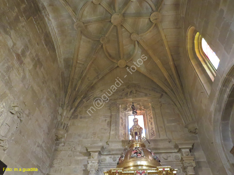 SANTO DOMINGO DE LA CALZADA (211) Catedral