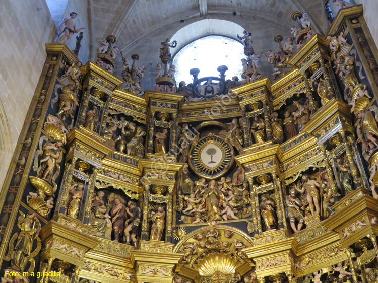 SANTO DOMINGO DE LA CALZADA (217) Catedral